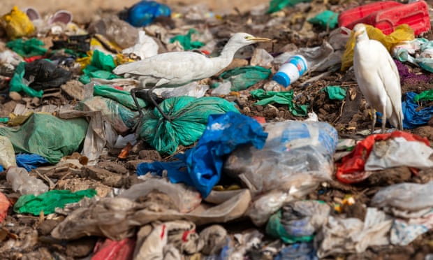 European parliament votes to ban single-use plastics 