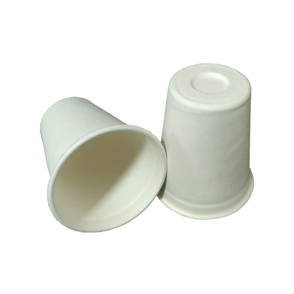sugarcane cup