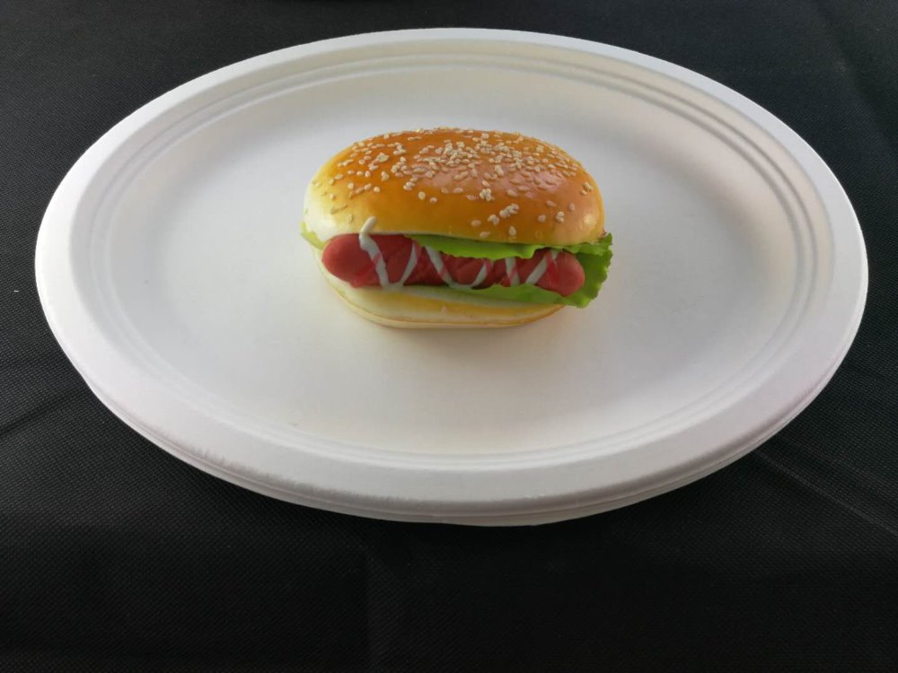 sugarcane bagasse plates