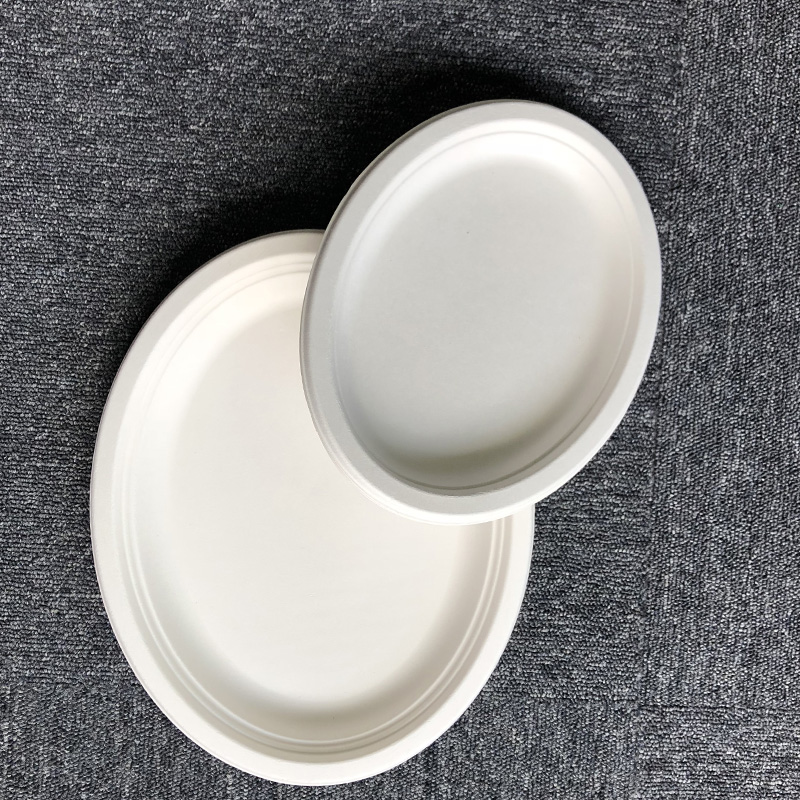 sugarcan & bagasse plates oval