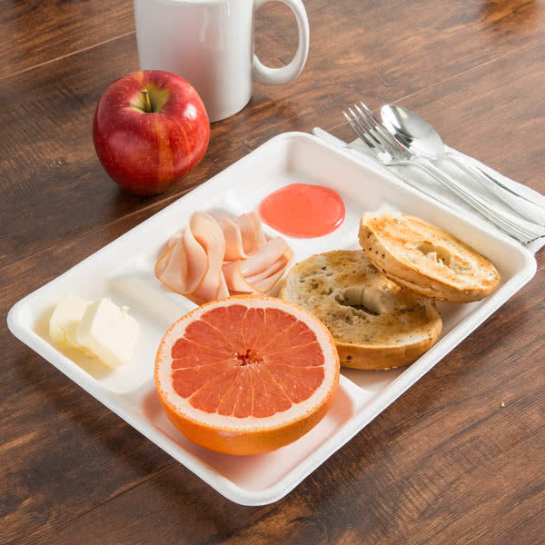 sugarcane trays 