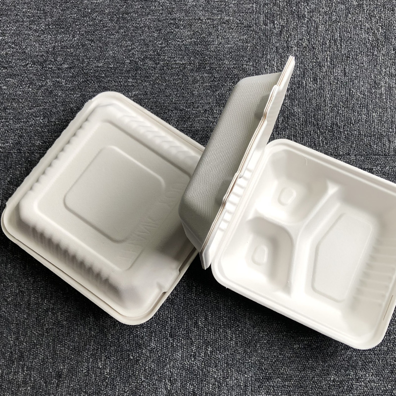 sugarcane food container