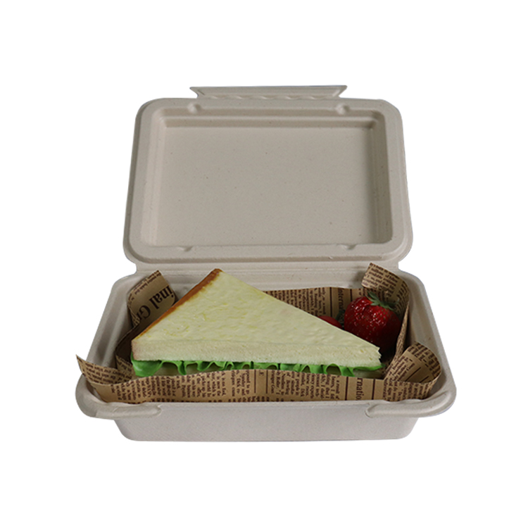 sugarcane clamshell 