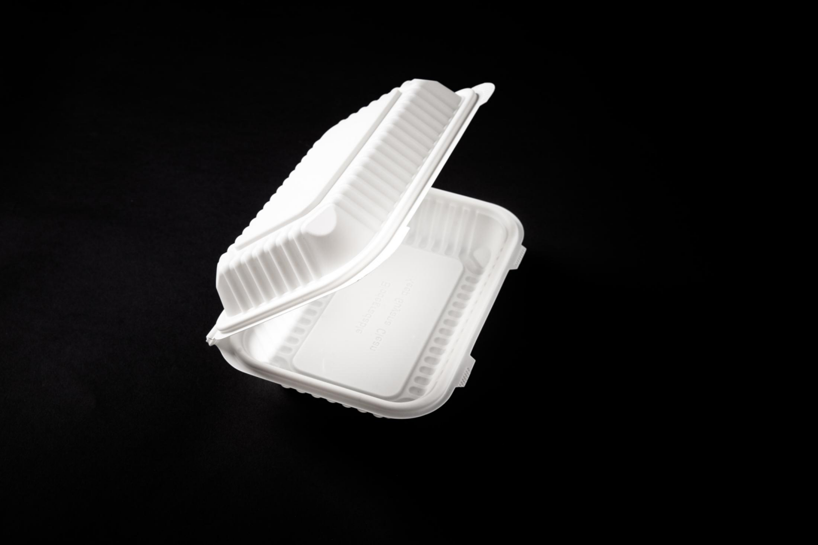 corn starch food container